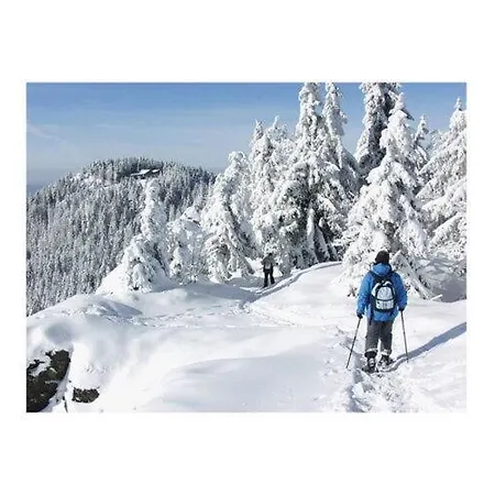 Διαμέρισμα Amazing In Bad Bad Koetzting