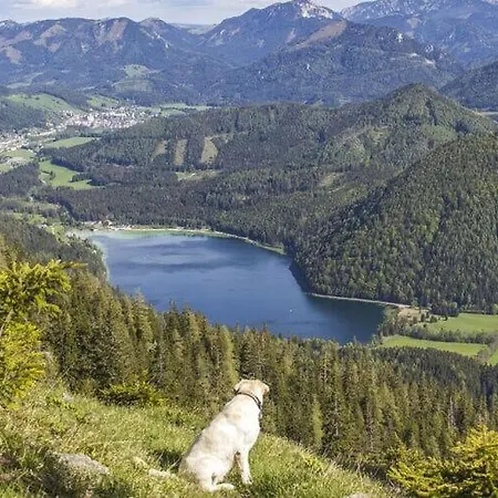 Amazing In Bad Bad Koetzting
