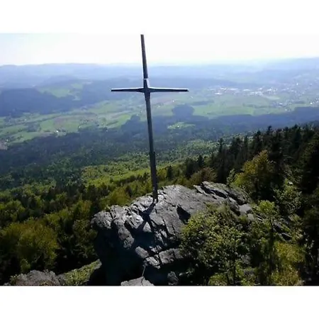 Amazing In Bad * Bad Koetzting
